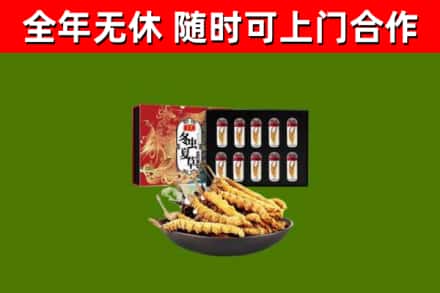红桥区烟酒回收冬虫夏草礼盒.jpg